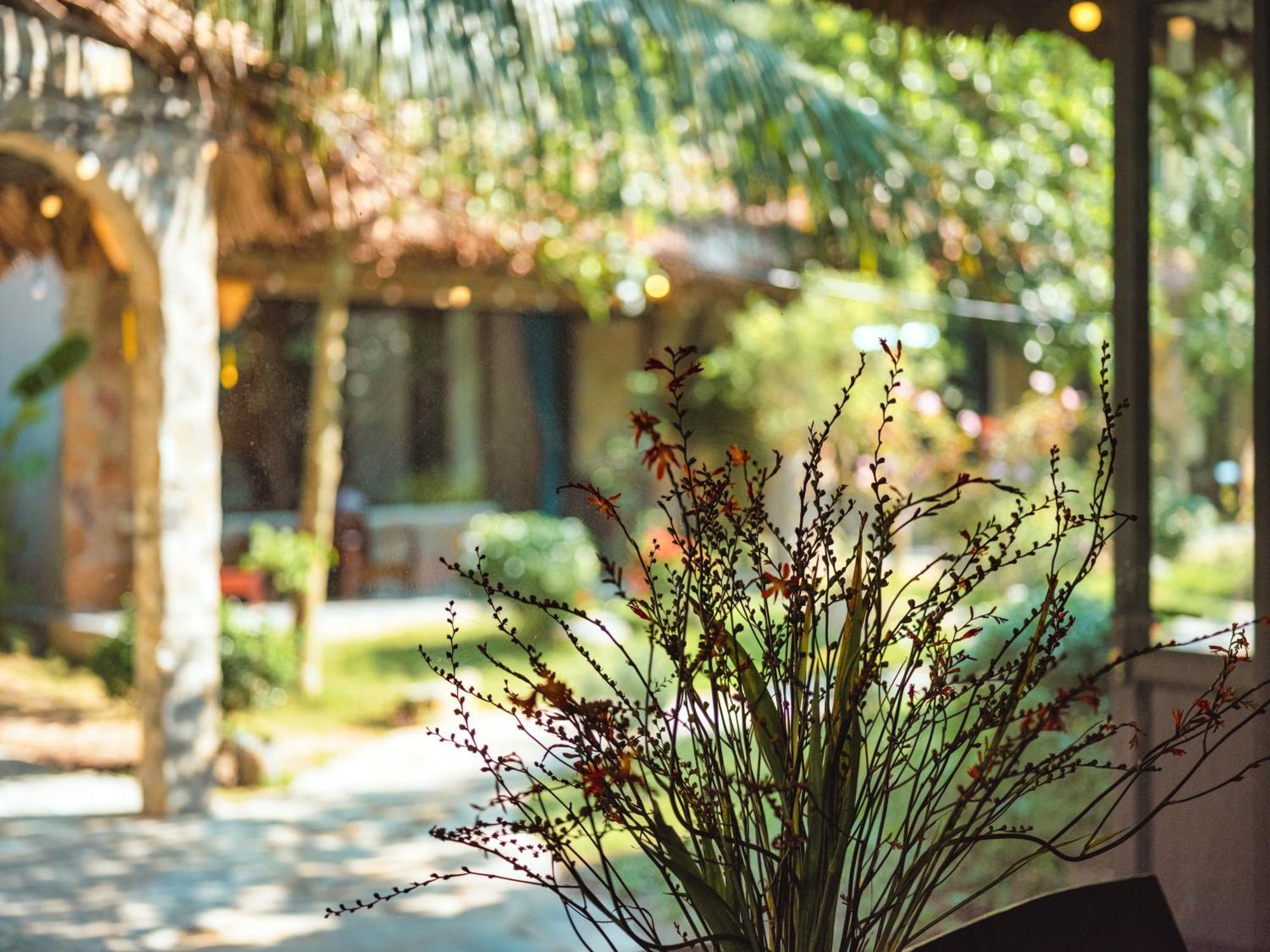 Cozy Beer Garden Homestay Ninh Bình Exteriör bild