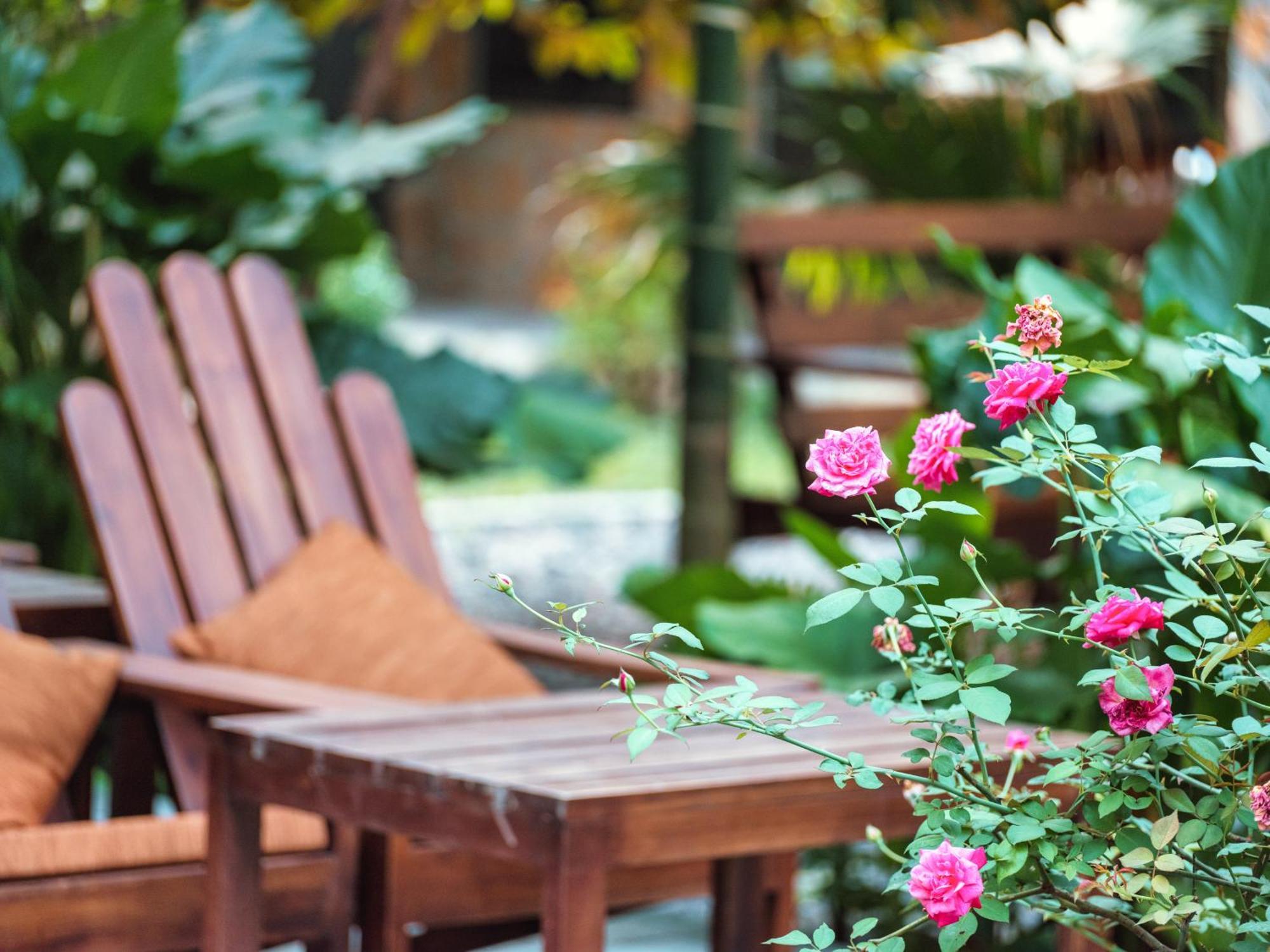 Cozy Beer Garden Homestay Ninh Bình Exteriör bild